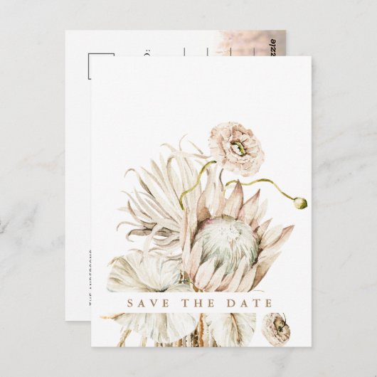 Boho Protea Pampas Grass Save the Date Photo Postc ポストカード (正面/裏面)