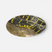 Boigaのdendrophilaかマングローブのヘビ ペーパープレート (アングル)