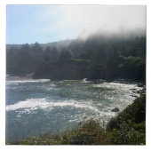 Boiler Bay, OR タイル (正面)