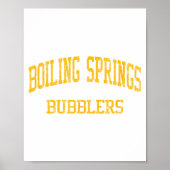 Boiling Springs High School Hs Boiling Springs Pa  ポスター (正面)