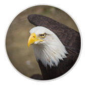 Bold Eagle Ceramic Drawer Knob – Strength セラミックノブ (正面)