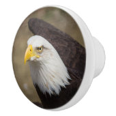 Bold Eagle Ceramic Drawer Knob – Strength セラミックノブ (右)