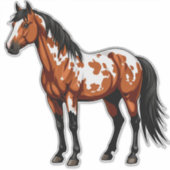 Bold Paint Horse シール (正面)