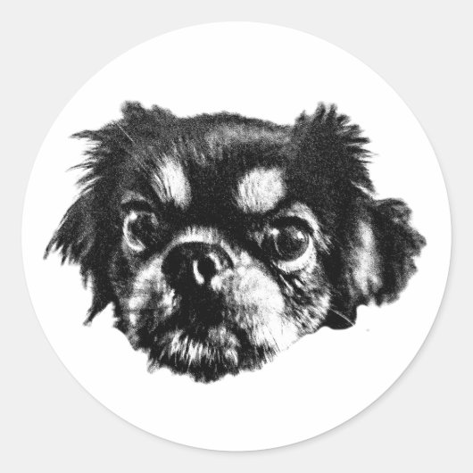 Bold Pekingese Sticker – Black & White Face ラウンドシール (正面)