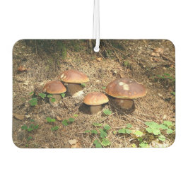 boletus カーエアーフレッシュナー