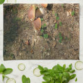 boletus キッチンタオル (折り畳み)