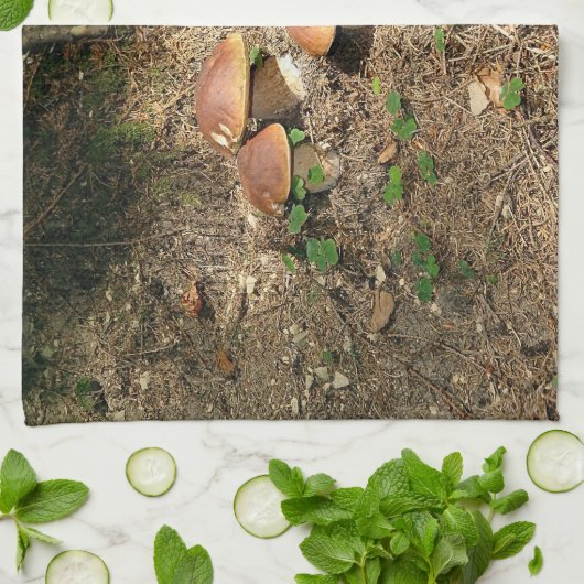 boletus キッチンタオル (折り畳み)