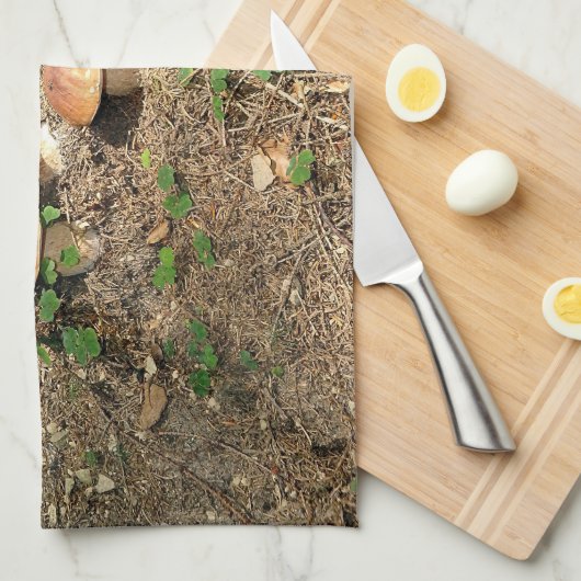 boletus キッチンタオル (四つ折り)