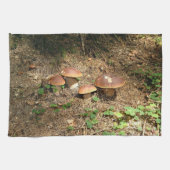 boletus キッチンタオル (横)