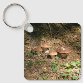 boletus キーホルダー
