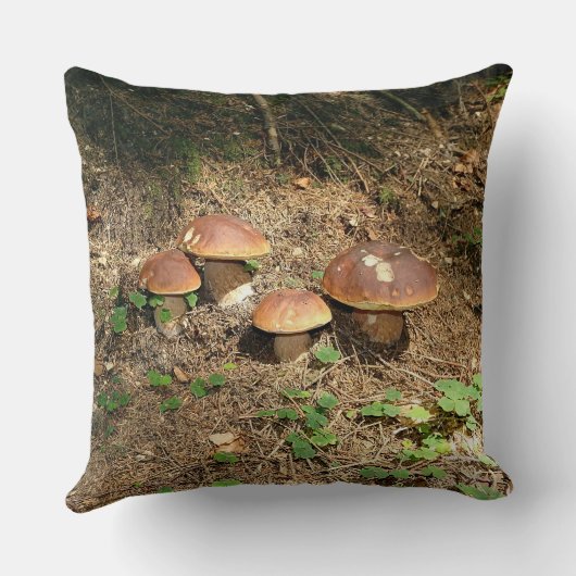 boletus クッション (裏面)