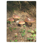 boletus クリップボード (裏面)