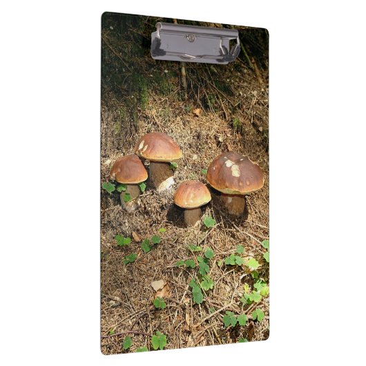 boletus クリップボード (右)