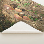 boletus シェルパブランケット (3/4)