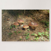 boletus ジグソーパズル (横)