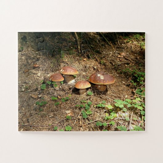 boletus ジグソーパズル (横)