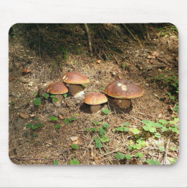 boletus マウスパッド