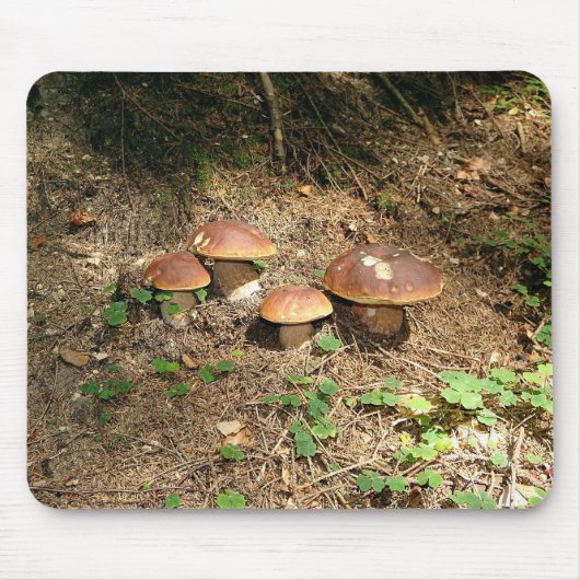 boletus マウスパッド (正面)