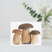 Boletus Edulis PCard ポストカード (スタンド正面)