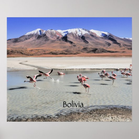 Bolivia scenic landscape ポスター (正面)