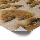 Bolivian Altiplano Desert Landscape ポスター (角)