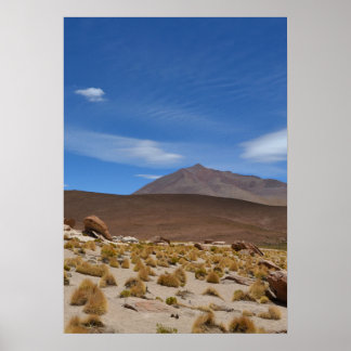 Bolivian Altiplano Desert Landscape ポスター