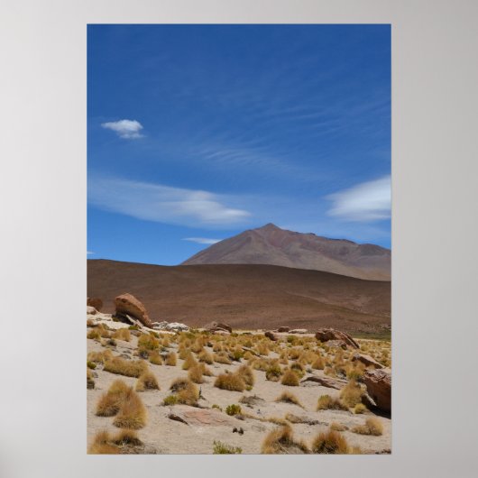 Bolivian Altiplano Desert Landscape ポスター (正面)