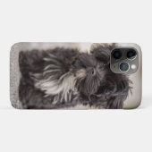Bolonka Puppy Case-Mate iPhoneケース (裏面(横))