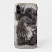 Bolonka Puppy Case-Mate iPhoneケース (裏)