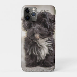Bolonka Puppy iPhone 11 Proケース