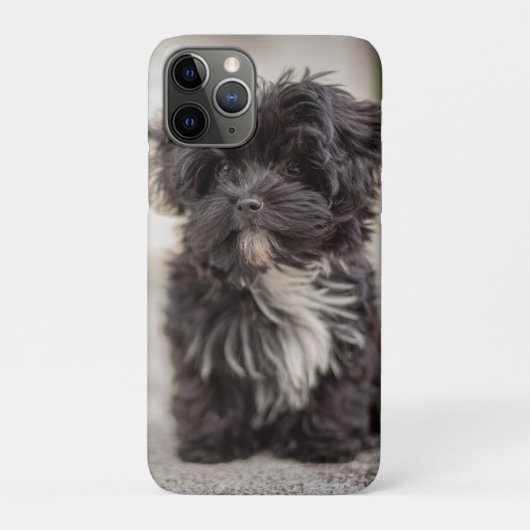 Bolonka Puppy Case-Mate iPhoneケース (裏)