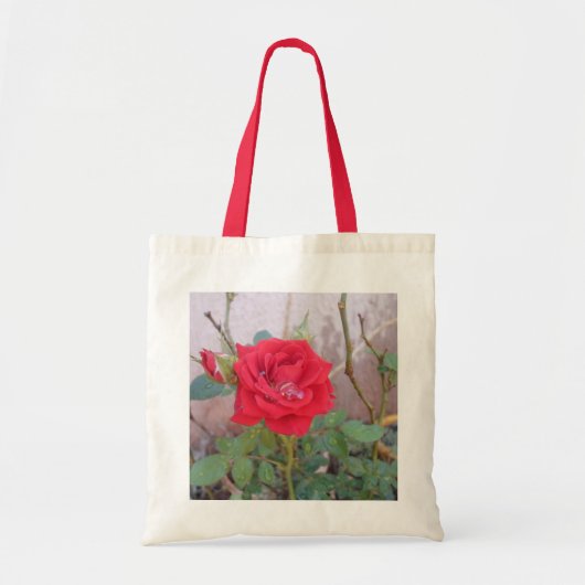 bolsa econômica  トートバッグ (正面)