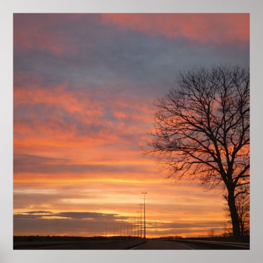 Bolso ポスター (正面)