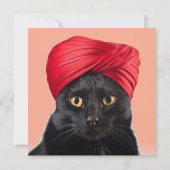 Bombay Cat Wearing A Turban 招待状 (裏面)