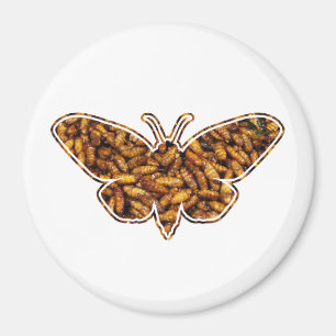 BombyxのMoriの絹ガのライフサイクルのシルエット マグネット