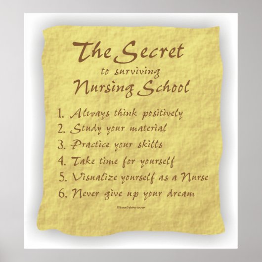 BonafidNurse_-_Secret_to_生き延びs_Nursing_School ポスター (正面)