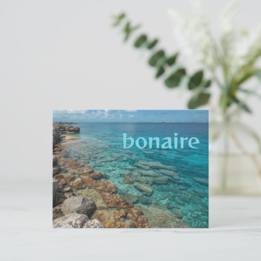 Bonaire breeze ポストカード (スタンド正面)