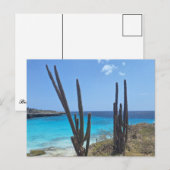 Bonaire Seaview ポストカード (正面/裏面)
