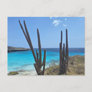 Bonaire Seaview ポストカード