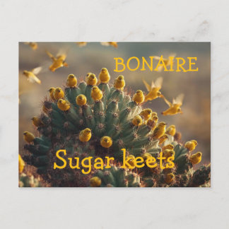 Bonaire sugarkeets ポストカード