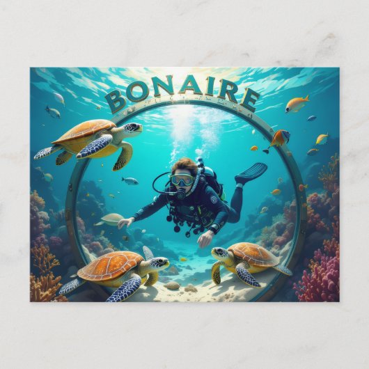 bonaire vacation Postcard ポストカード (正面)