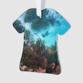 Bonairean礁 オーナメント (正面)