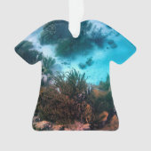 Bonairean礁 オーナメント (正面)