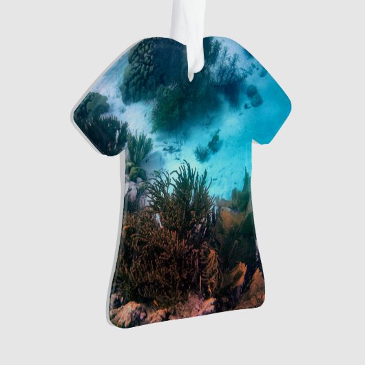 Bonairean礁 オーナメント (正面)