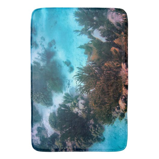 Bonairean礁 バスマット (正面縦)