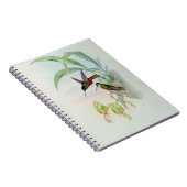 Bonaparteの星はハチドリに向かいました(つけられる着色される ノートブック (右側)