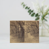 Bonaventura墓地、サバンナ、ガシア州。c.1863 ポストカード (スタンド正面)