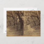 Bonaventura墓地、サバンナ、ガシア州。c.1863 ポストカード (正面/裏面)