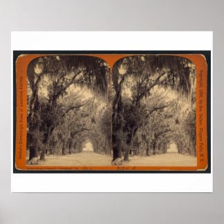 Bonaventure墓地，サバンナ， Ga c.1887 ポスター