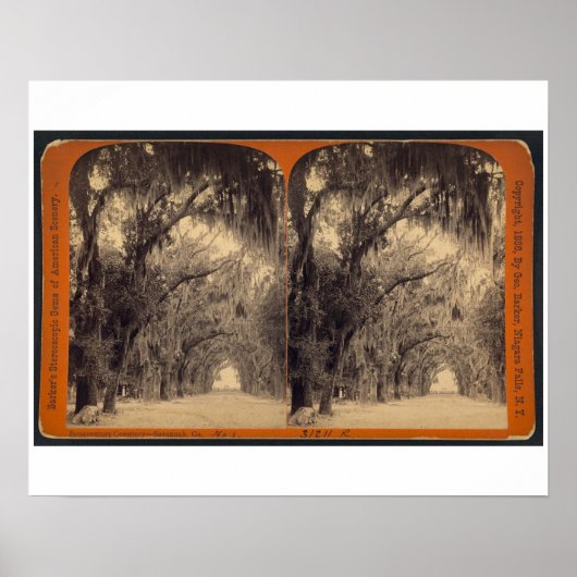 Bonaventure墓地，サバンナ， Ga c.1887 ポスター (正面)
